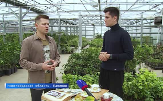 Эфир от 12.10.2026