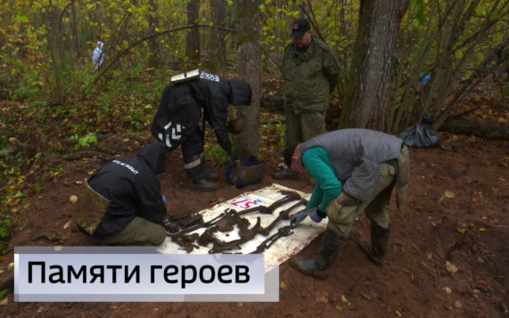 Эфир от 13.10.2026 (11:30)
