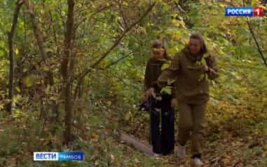 В сухую теплую погоду активизировались клещи