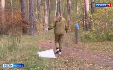 Наслаждаясь золотой осенью, не забываем про клещей