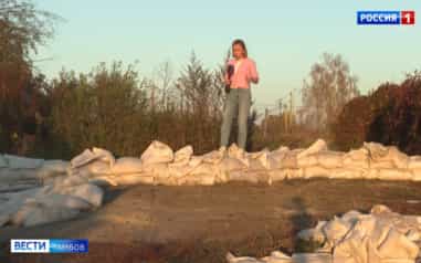 Дачи на Московской заливает фекальными водами