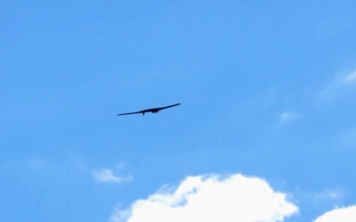 Как БАС помогают сохранять водные экосистемы