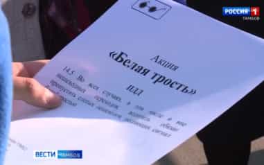 В Тамбове в преддверии Международного дня белой трости провели акцию «Белая трость»