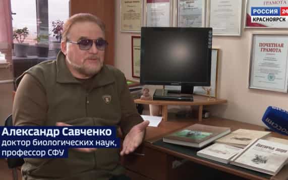 Медведи все чаще стали выходить к людям: возможные причины