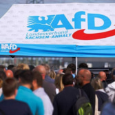 AfD и BSW – за прекращение поддержки Украины