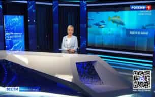 Эфир от 15.10.2026 (11:30)