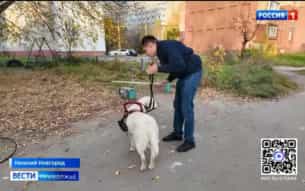 Эфир от 16.10.2026 (09:30)