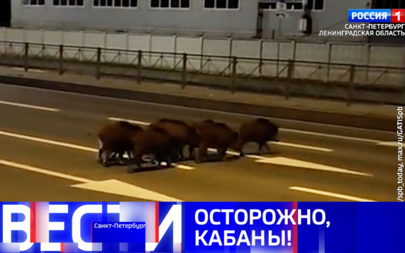 Эфир от 16.10.2026 (11:30)
