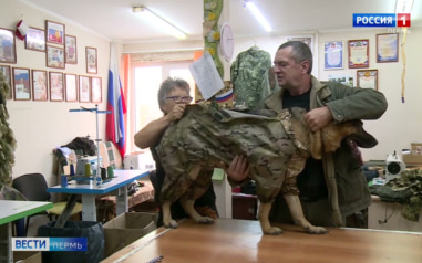 Прикамские волонтеры шьют комбинезоны для служебных собак в зоне СВО