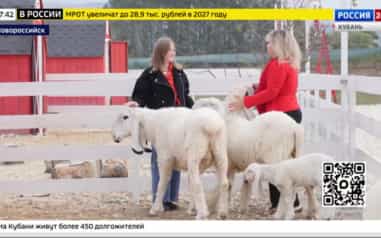Эфир от 16.10.2026 (17:30)