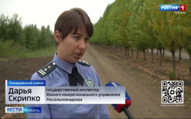Эфир от 17.10.2026 (14:30)