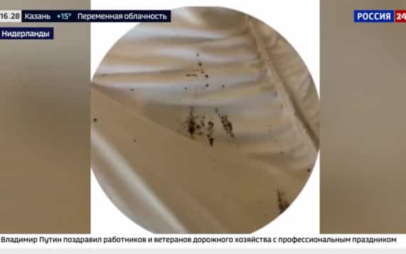 На чемпионате мира по спортивной гимнастике в Роттердаме тренера россиян поселили в номере с клопами