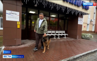 "Принимают идеально": ветеран СВО и его собака-поводырь отправились в Томск поправить здоровье