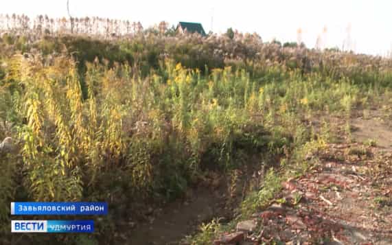 Эфир от 16.10.2026