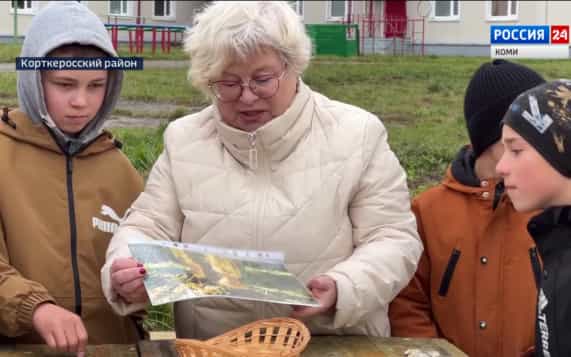 Экологическая тропа в школе Сторожевска: от уроков биологии до экскурсий для туристов