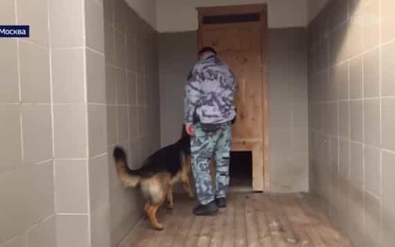 Росгвардия обеспечила безопасность матча "Динамо" — ЦСКА