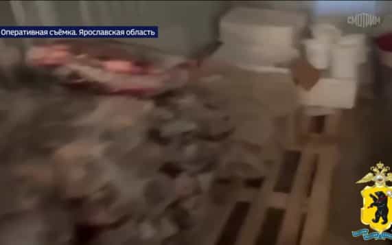 В Ярославской области изъяли 40 тысяч незаконно добытых рыб