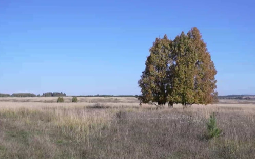 Эфир от 20.10.2026