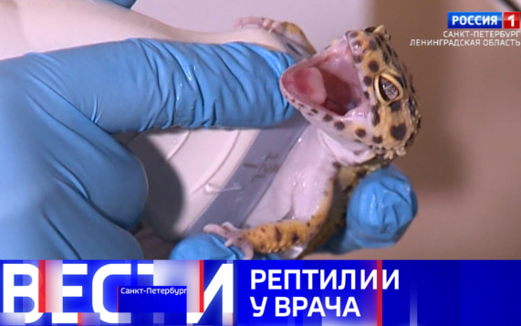 Эфир от 20.10.2026 (09:30)