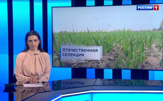 "Вести.Брянск"