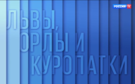 Даши Намдаков – гость "Львы, орлы и куропатки"