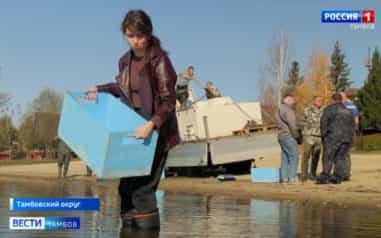 Рыбное новоселье: в водоёмы Тамбовской области выпустили толстолобика