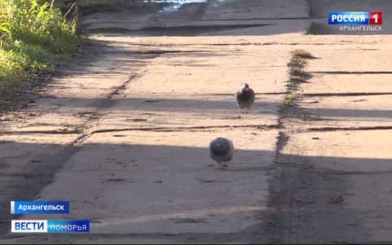 Обеспечит бесперебойное снабжение теплом и горячей водой