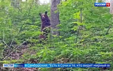 Эфир от 21.10.2026 (11:30)