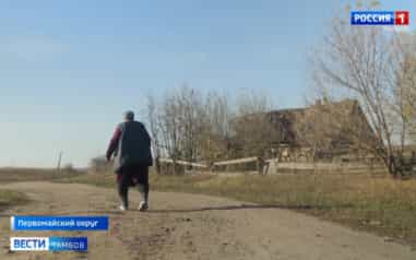 Автобус мимо, люди пешком: жители посёлка Восточный требуют остановку