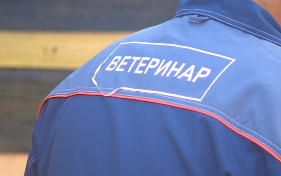 Тактический медик вернулся с СВО и лечит животных под Волгоградом