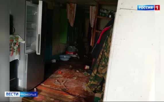 В Поморье этой осенью зафиксировано 118 случаев выхода медведей в населённые пункты