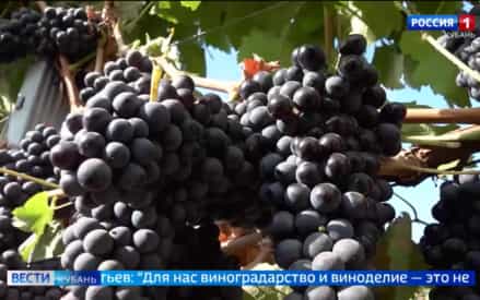 Эфир от 21.10.2026 (21:10)