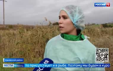 Река в станице Новоминской снова на грани экологической катастрофы