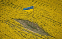 Экономический спад в Украине усугубляется: экспорт зерна резко снизился, усиливается мобилизация