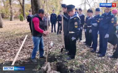 В сквере Еремеева кадеты‑волонтёры высадили деревья