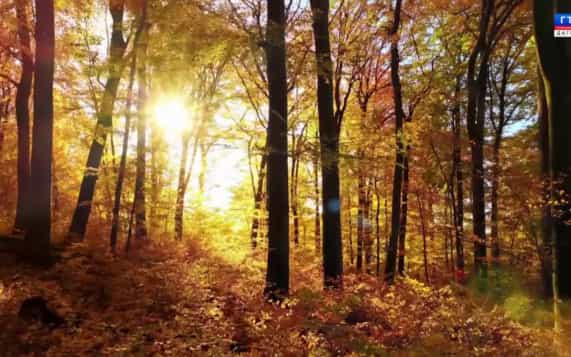 КНВ на агульском языке 21.10.26 г.