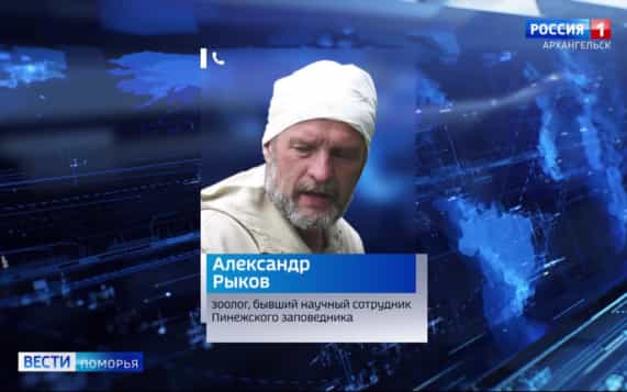 Сегодня в Пинежском округе ликвидировали медведя, который растерзал мужчину в лесу