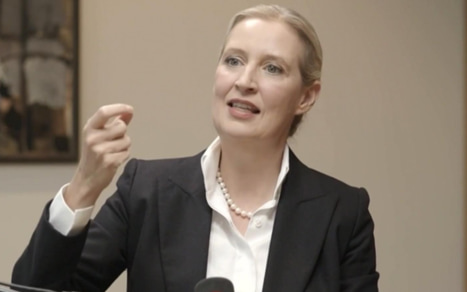 Лидер АдГ Вайдель в интервью Economist заявила о провале внешней политики ФРГ