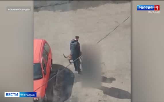 Хулигану с Портовой продлили арест еще на месяц