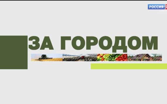 «За городом». 06.10.26