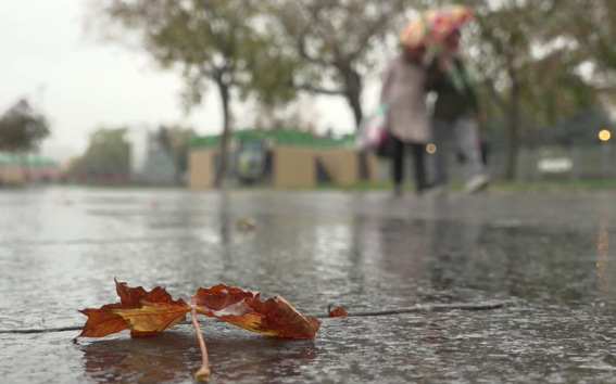 Эфир от 23.10.2026 · 09:30