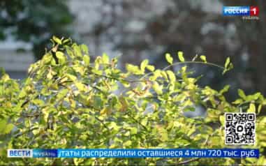 Важные решения приняли на очередном заседании городской Думы Краснодара
