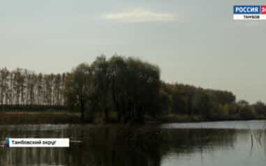Эфир от 25.10.2026