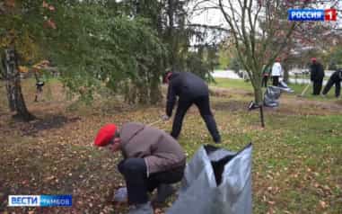 В Тамбове неравнодушные наводят лоск и чистоту