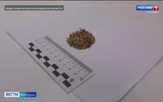 "Лас-Вегас" в Магадане обернулся уголовным делом — криминальная сводка