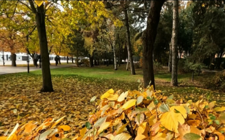 Эфир от 24.10.2026 (20:50)
