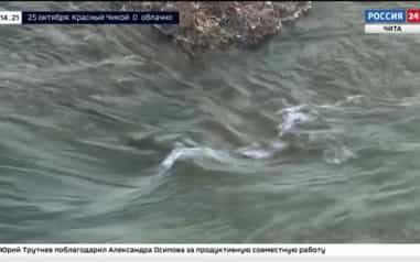 Эфир от 24.10.2026