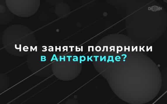 Чем заняты полярники в Антарктиде ?