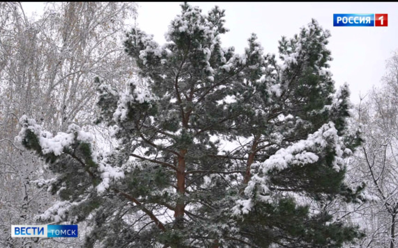 Эфир от 24.10.2026 (20:50)