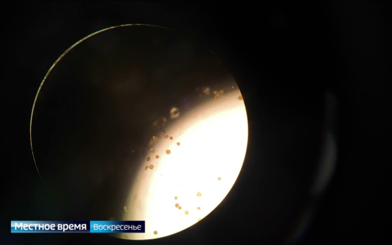 Эфир от 25.10.2026
